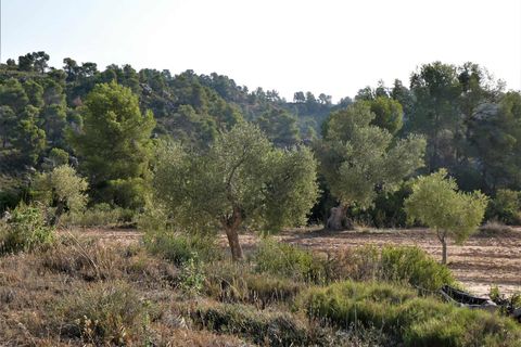 Finca i Maella, Zaragoza, Maella - € 34.000 | Ref: 0935 - foto 21