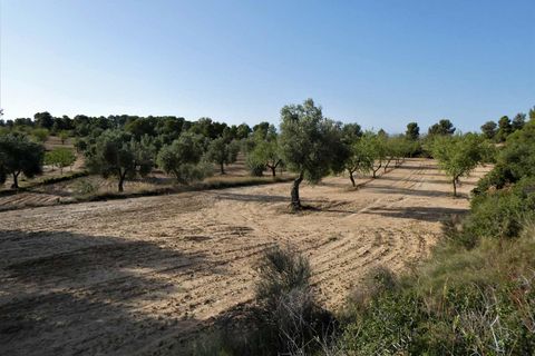 Finca i Maella, Zaragoza, Maella - € 34.000 | Ref: 0935 - foto 29