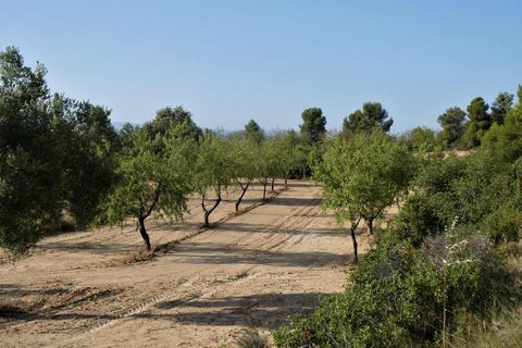 Finca i Maella, Zaragoza, Maella - € 34.000 | Ref: 0935 - foto 31