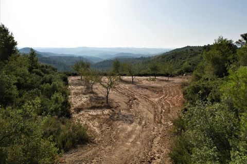 Finca i Maella, Zaragoza, Maella - € 34.000 | Ref: 0935 - foto 35