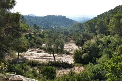 Finca i Maella, Zaragoza, Maella - € 34.000 | Ref: 0935 - foto 14