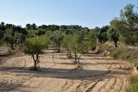 Finca i Maella, Zaragoza, Maella - € 34.000 | Ref: 0935 - foto 20