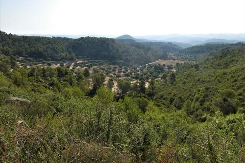Finca i Maella, Zaragoza, Maella - € 34.000 | Ref: 0935 - foto 36