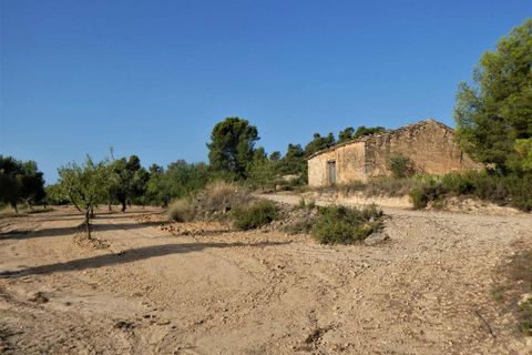 Finca i Maella, Zaragoza, Maella - € 34.000 | Ref: 0935 - foto 19