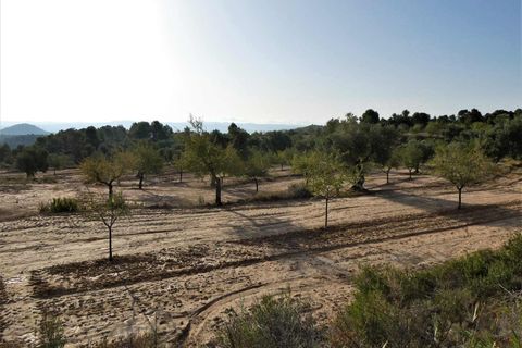 Finca i Maella, Zaragoza, Maella - € 34.000 | Ref: 0935 - foto 18