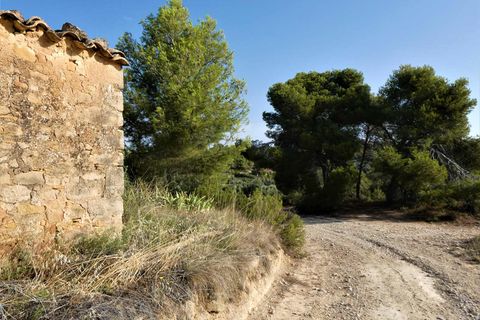 Finca i Maella, Zaragoza, Maella - € 34.000 | Ref: 0935 - foto 11