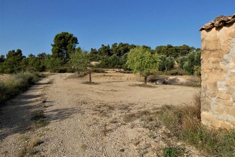 Finca i Maella, Zaragoza, Maella - € 34.000 | Ref: 0935 - foto 7
