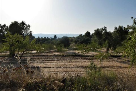 Finca i Maella, Zaragoza, Maella - € 34.000 | Ref: 0935 - foto 32
