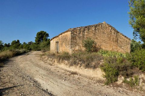 Finca i Maella, Zaragoza, Maella - € 34.000 | Ref: 0935 - foto 10