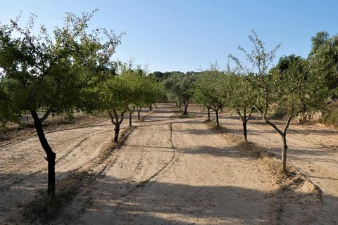 Finca i Maella, Zaragoza, Maella - € 34.000 | Ref: 0935 - foto 28