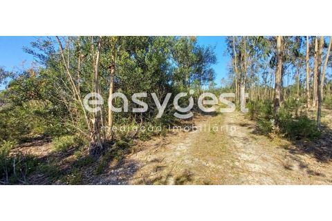 Helårsgrund i Cantanhede, Coimbra, Cantanhede - € 50.000 | Ref: RR93259 - foto 1