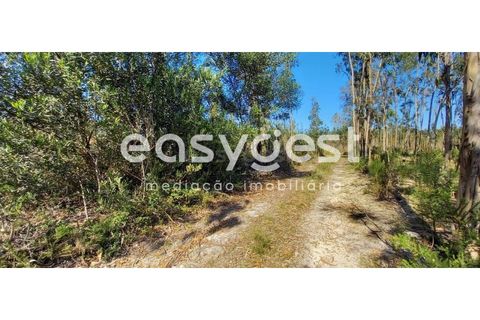 Helårsgrund i Cantanhede, Coimbra, Cantanhede - € 50.000 | Ref: RR93259 - foto 4