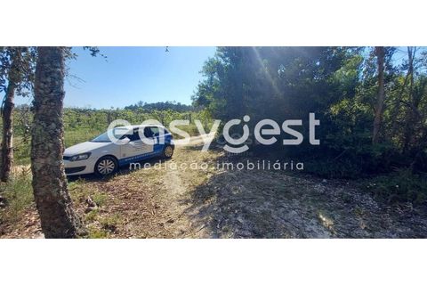 Helårsgrund i Cantanhede, Coimbra, Cantanhede - € 50.000 | Ref: RR93259 - foto 5
