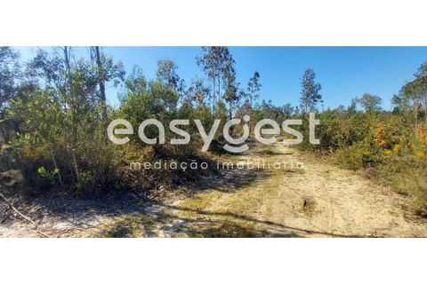 Helårsgrund i Cantanhede, Coimbra, Cantanhede - € 50.000 | Ref: RR93259 - foto 7