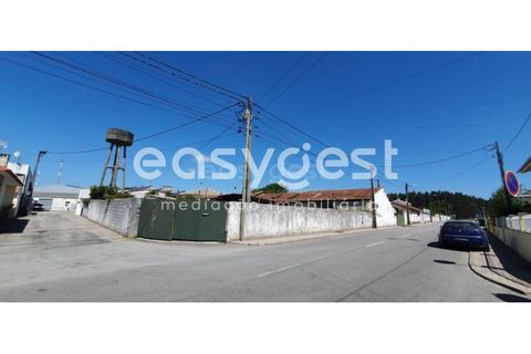 Erhvervsejendom i Agueda, Aveiro, Agueda - € 550.000 | Ref: EA93269 - foto 2