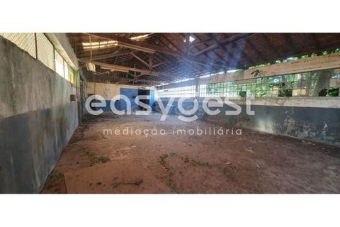 Erhvervsejendom i Agueda, Aveiro, Agueda - € 550.000 | Ref: EA93269 - foto 4
