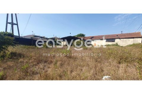Erhvervsejendom i Agueda, Aveiro, Agueda - € 550.000 | Ref: EA93269 - foto 5