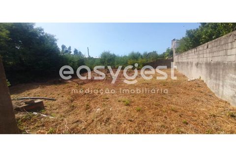 Erhvervsejendom i Agueda, Aveiro, Agueda - € 550.000 | Ref: EA93269 - foto 9
