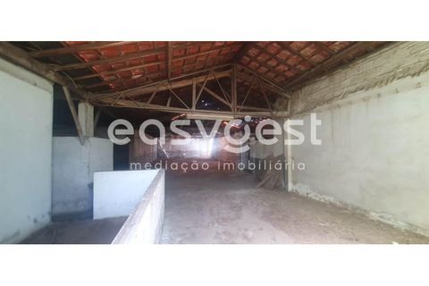 Erhvervsejendom i Agueda, Aveiro, Agueda - € 550.000 | Ref: EA93269 - foto 13