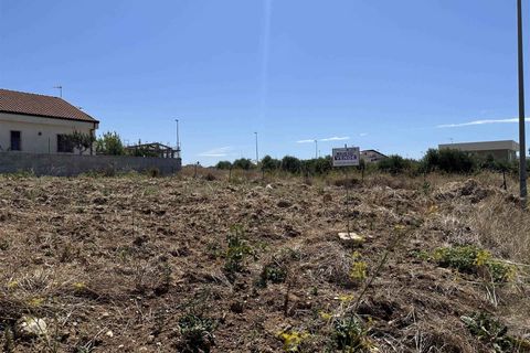 Tomt i Ribera, Agrigento, Ribera - € 80 000 | Ref: T/205 - foto 3