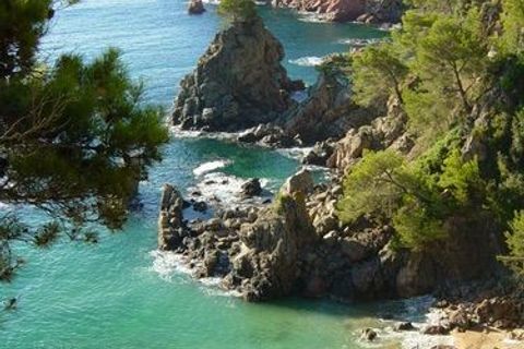 Helårsgrund i Lloret De Mar, Gerona, Lloret De Mar - € 525.000 | Ref: PAR0071 - foto 7