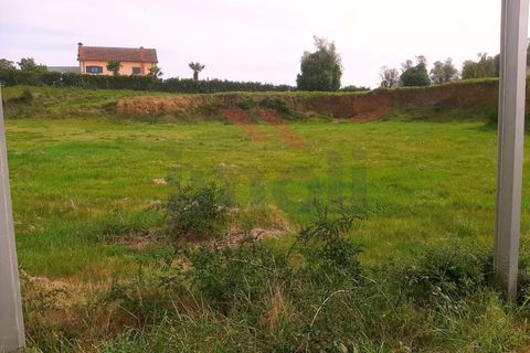 Helårsgrund i Ponte de Lima, Viana do Castelo, Ponte de Lima - € 270.000 | Ref: PTL-1135-MF-0823 - foto 2