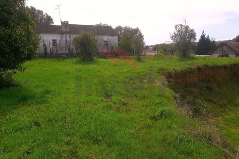Helårsgrund i Ponte de Lima, Viana do Castelo, Ponte de Lima - € 270.000 | Ref: PTL-1135-MF-0823 - foto 5