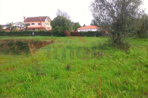 Helårsgrund i Ponte de Lima, Viana do Castelo, Ponte de Lima - € 270.000 | Ref: PTL-1135-MF-0823 - foto 6