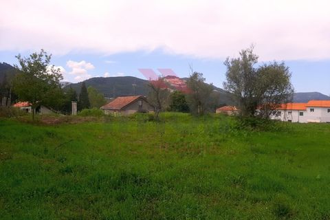Helårsgrund i Ponte de Lima, Viana do Castelo, Ponte de Lima - € 270.000 | Ref: PTL-1135-MF-0823 - foto 7