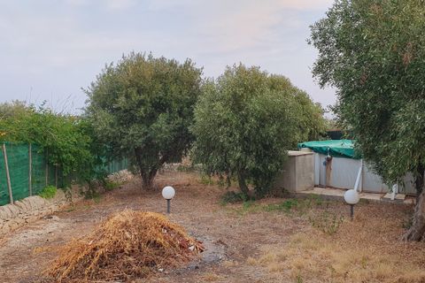 Villa i Modica, Ragusa, Modica - € 480.000 | Ref: 11284 - foto 24