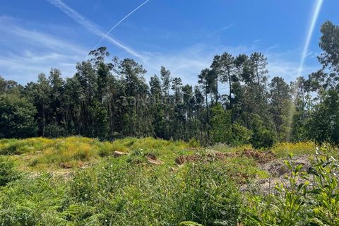 Helårsgrund i Moncao, Viana do Castelo, Moncao - € 40.000 | Ref: 3969 - foto 6