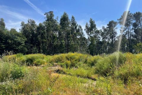 Helårsgrund i Moncao, Viana do Castelo, Moncao - € 40.000 | Ref: 3970 - foto 3