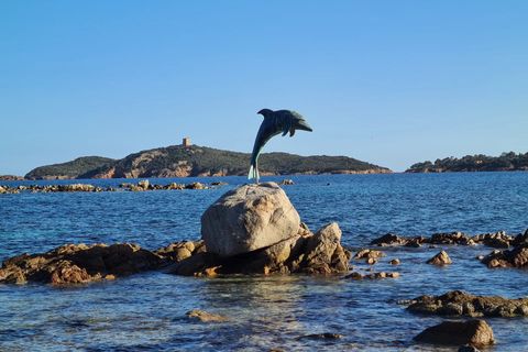 Landejendom i Porto-Vecchio, Corse-du-Sud, Porto-Vecchio - € 1.590.000 | Ref: REMBS 2023AA - foto 7