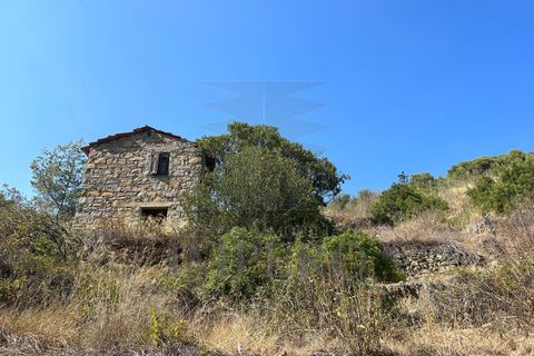 Villa a Soldano, Imperia, Soldano - € 120.000 | Ref: 22449 - foto 2