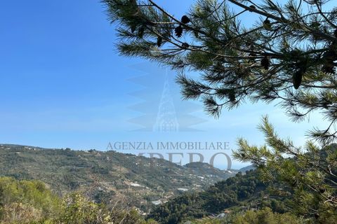 Villa a Soldano, Imperia, Soldano - € 120.000 | Ref: 22449 - foto 5
