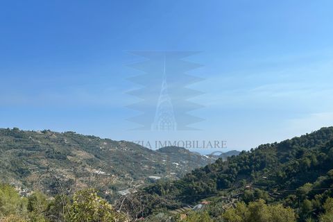 Villa a Soldano, Imperia, Soldano - € 120.000 | Ref: 22449 - foto 6