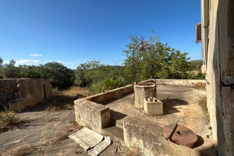 Cortijo i Arta, Mallorca, Arta - € 1.950.000 | Ref: 2768T - foto 9