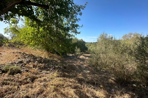 Cortijo i Arta, Mallorca, Arta - € 1.950.000 | Ref: 2768T - foto 19
