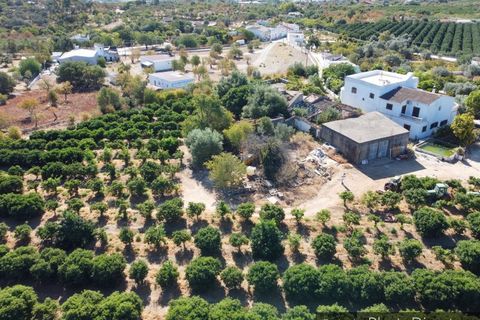 Farm i Moncarapacho, Faro, Moncarapacho - € 1.200.000 | Ref: 1195 - foto 1