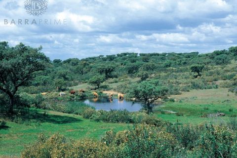 Helårsgrund i Ourique, Beja, Ourique - € 3.900.000 | Ref: 69A - foto 1