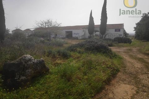 Farm i Estombar, Faro, Estombar - € 3.010.000 | Ref: QTA12308 - foto 6