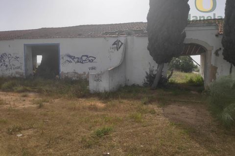 Farm i Estombar, Faro, Estombar - € 3.010.000 | Ref: QTA12308 - foto 7