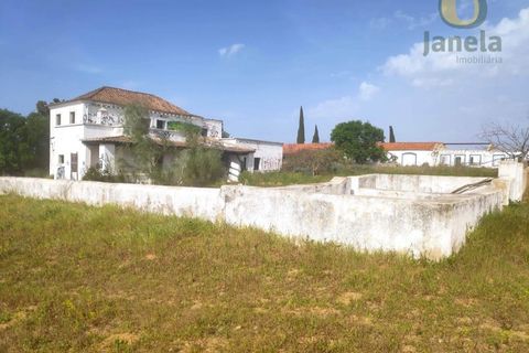 Farm i Estombar, Faro, Estombar - € 3.010.000 | Ref: QTA12308 - foto 8