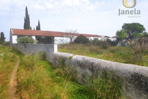Farm i Estombar, Faro, Estombar - € 3.010.000 | Ref: QTA12308 - foto 9