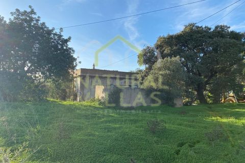 Villa i Estoi, Faro, Estoi - € 350.000 | Ref: MOR_2354_VEND - foto 3