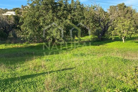Villa i Estoi, Faro, Estoi - € 350.000 | Ref: MOR_2354_VEND - foto 4