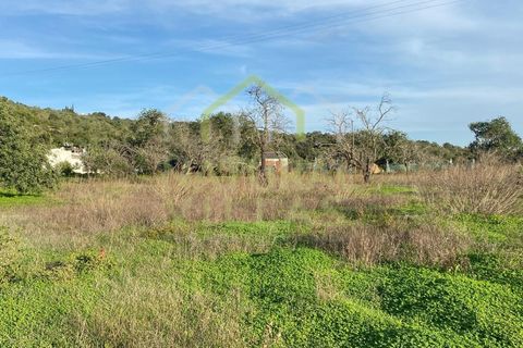Villa i Estoi, Faro, Estoi - € 350.000 | Ref: MOR_2354_VEND - foto 5