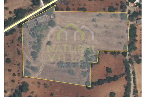 Villa i Estoi, Faro, Estoi - € 350.000 | Ref: MOR_2354_VEND - foto 10