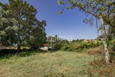 Villa a Serzedelo, Braga, Serzedelo - € 164.900 | Ref: ZMPT560461 - foto 10
