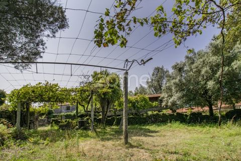 Villa a Serzedelo, Braga, Serzedelo - € 164.900 | Ref: ZMPT560461 - foto 12